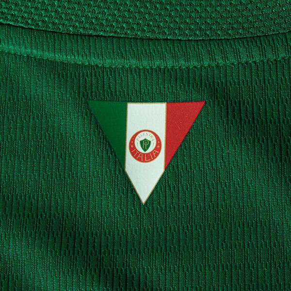 Camisa Palmeiras Verde 